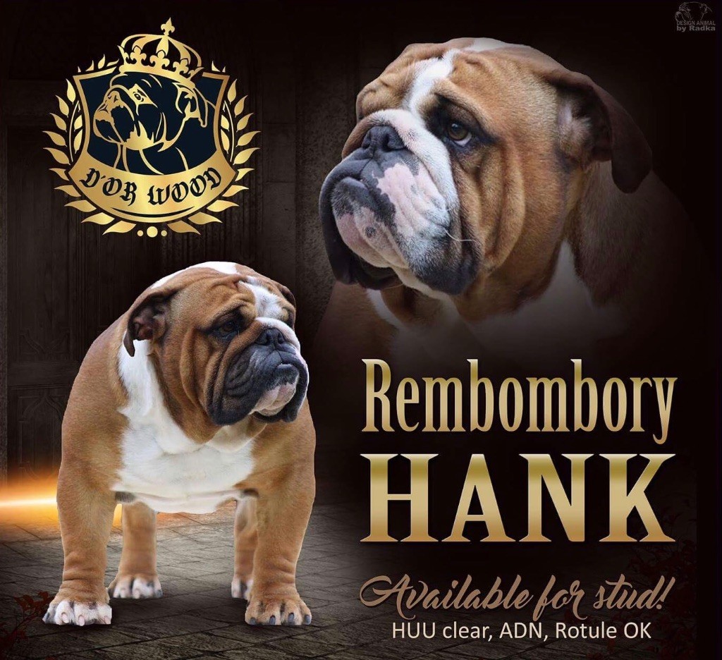 Rembombory Hank