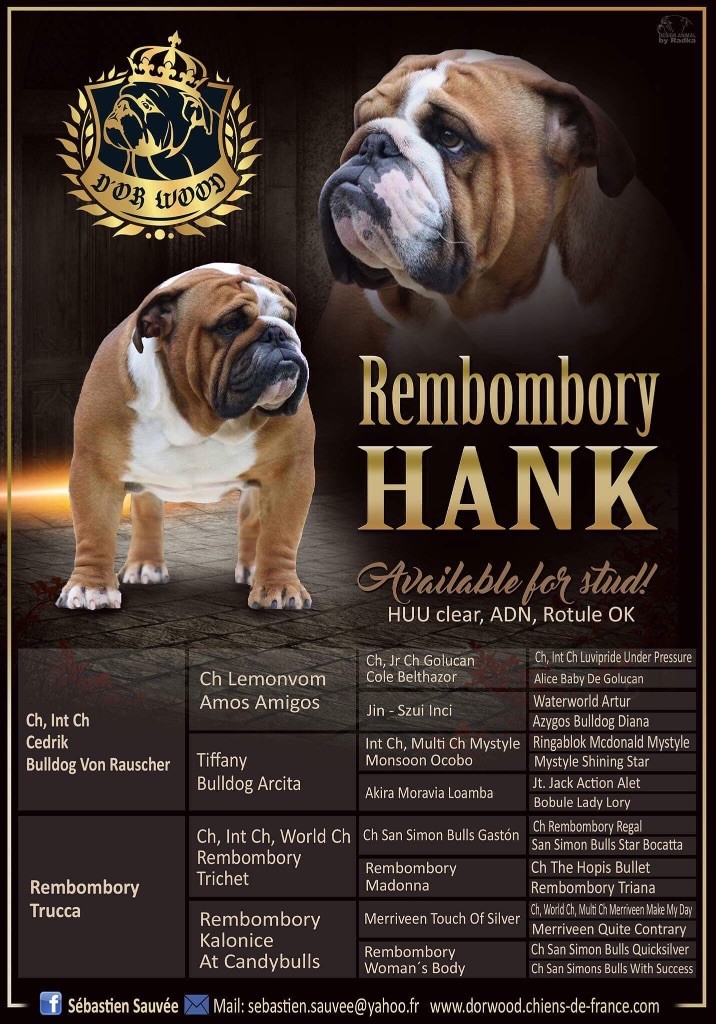 Rembombory Hank