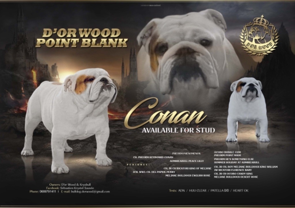 D'Or Wood Point blank